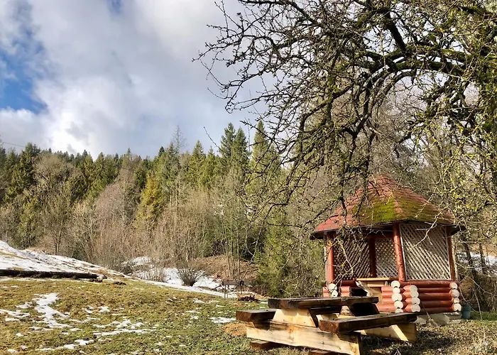 Sadyba Domashniy Zatyshok Пилипець